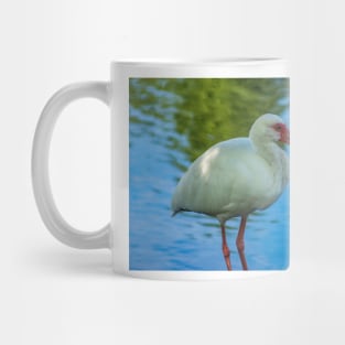 American white ibis 2 Mug